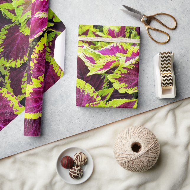 Bright Coleus Leaf Design Wrapping Paper (Crafts)