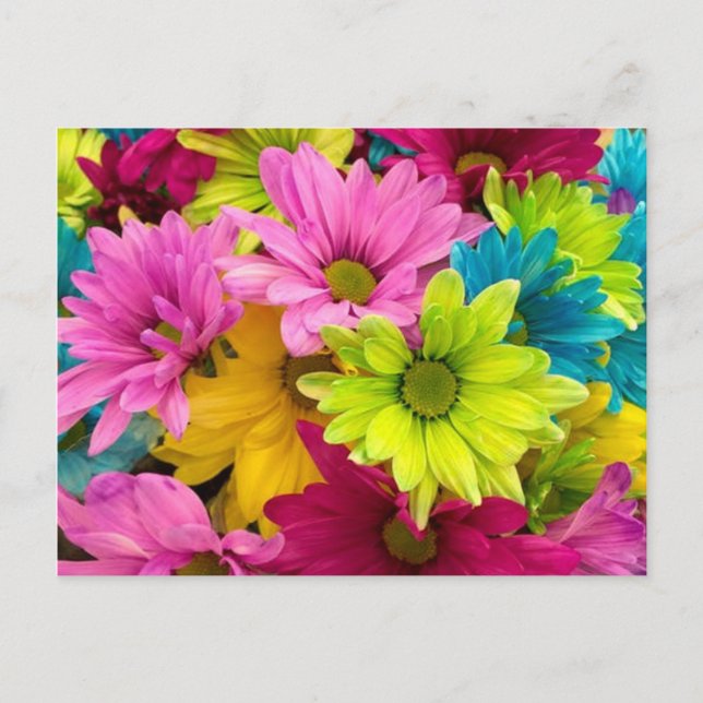 BRIGHT COLORFUL FLOWERS HOLIDAY POSTCARD (Front)