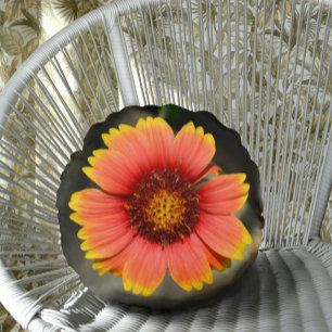 Bright Colorful Gaillardia Sunflower Round Cushion