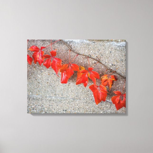 Bright coloured autumn leaves view canvas print (Front)