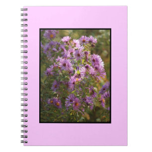 Bright,  Colourful Aster Spiral Notebook