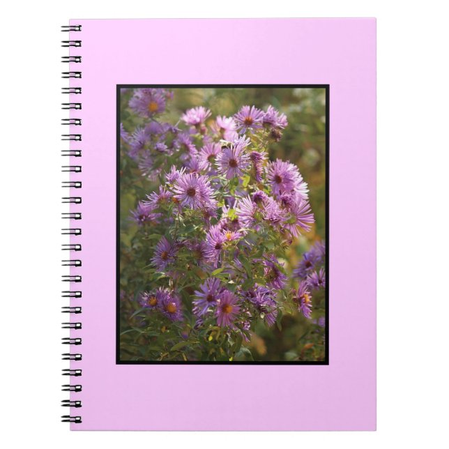 Bright,  Colourful Aster Spiral Notebook (Front)