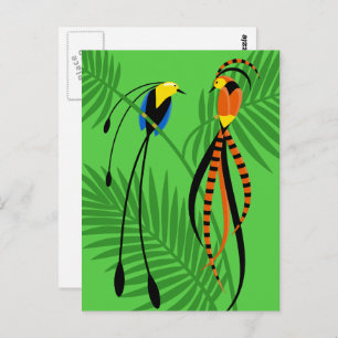 Bright Colourful Birds of Paradise Postcard
