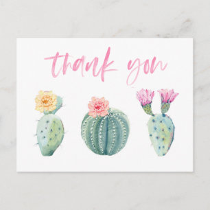 Bright colourful cacti thank you note girlfriends postcard