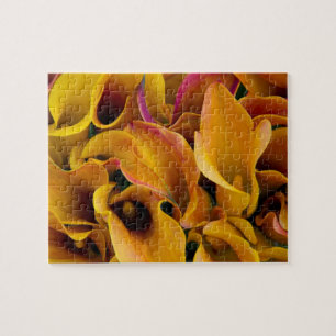Bright colourful calla lilies at the jigsaw puzzle