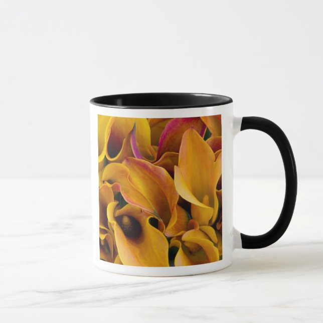 Bright colourful calla lilies at the mug (Right)