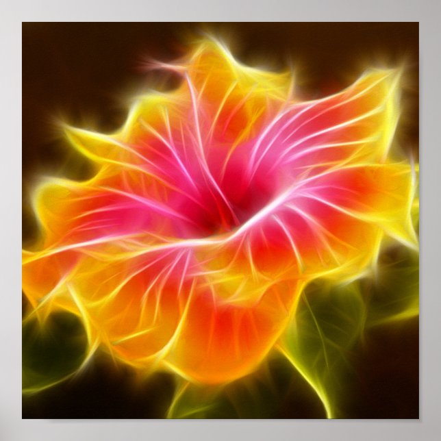 Bright Colourful Hibiscus Flower Poster (Front)