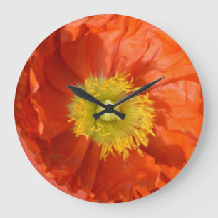 Bright Colourful Orange Tangerine Poppy Flower Large Clock