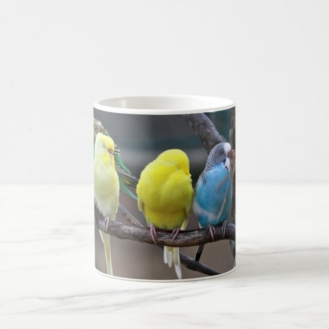 Bright Colourful Parakeets Budgies Parrots Birds Coffee Mug (Center)