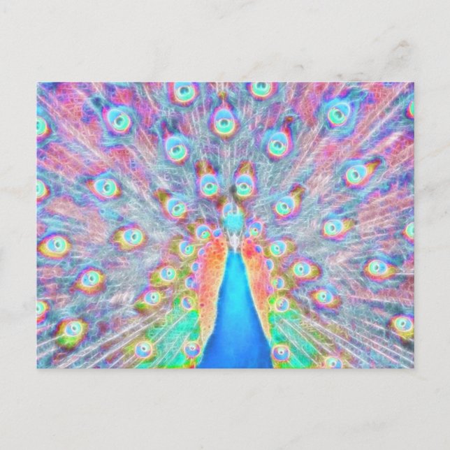 Bright Colourful *Peacock* Spirit Design Postcard (Front)