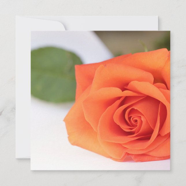 Bright Colours Orange Rose Your Text Flat Card (Front)