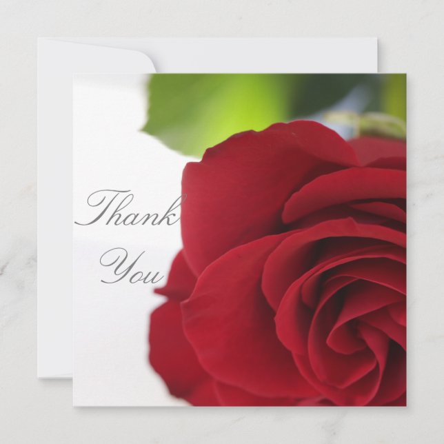 Bright Colours Red Rose Your Text Flat Card (Front)