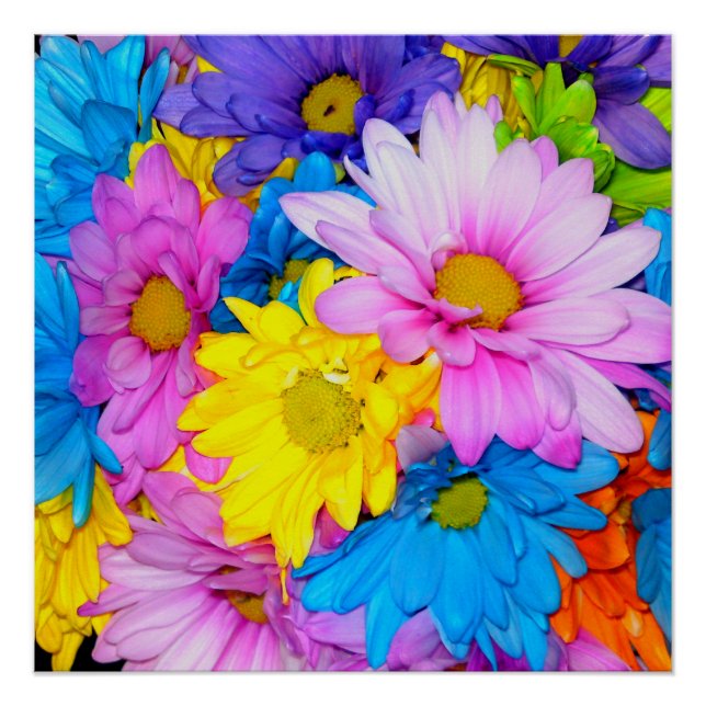 Bright Daisy Flower Mix Perfect Poster (Front)