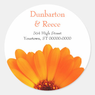 Bright Daisy Stickers