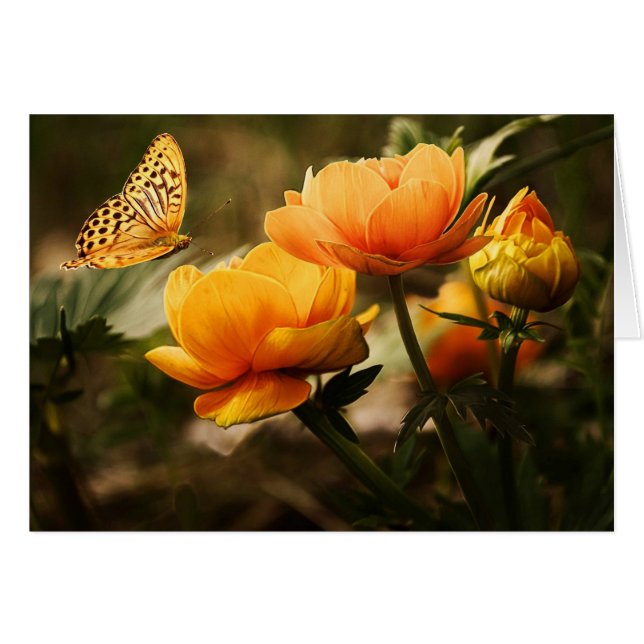 Bright Deep Yellow Flowers with Butterfly Blank (Front Horizontal)