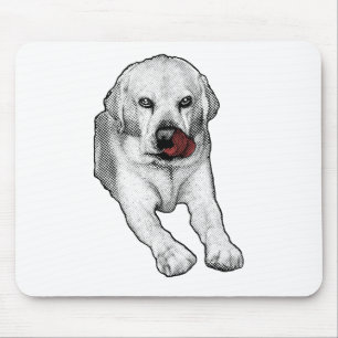 Bright desk, red-touched Lab Mouse Mat