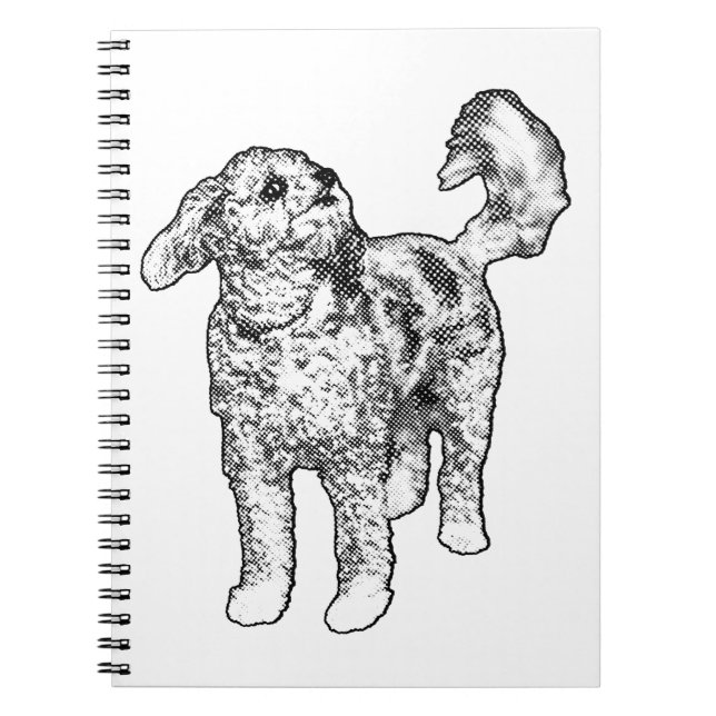 Bright Dot Companion Notebook (Front)