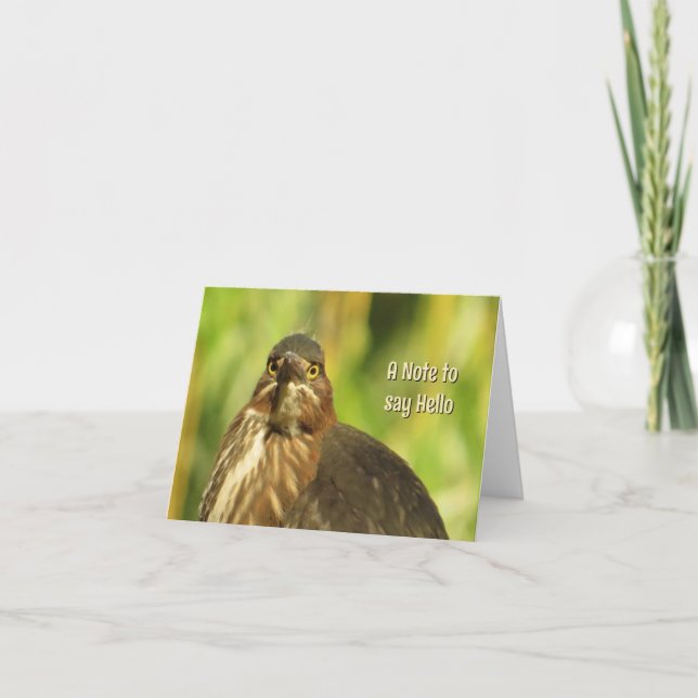 Bright Eyed Heron - Blank Greeting Card (Front)