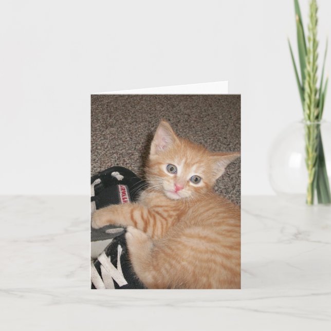 Bright Eyed Kitten Note Card (Front)