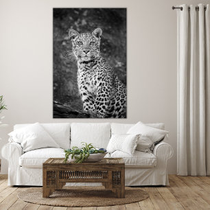 Bright-Eyed Young Leopard Canvas Print