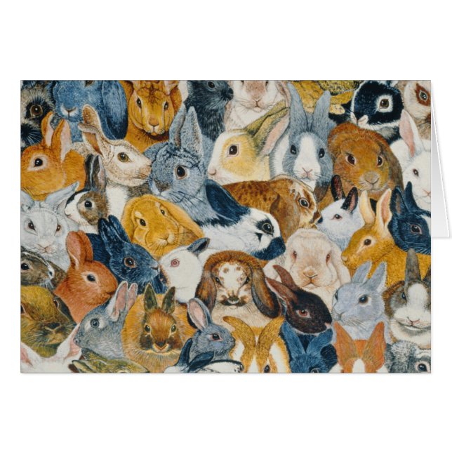 Bright Eyes (Front Horizontal)