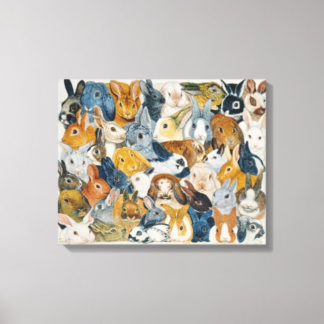 Bright Eyes Canvas Print (Front)