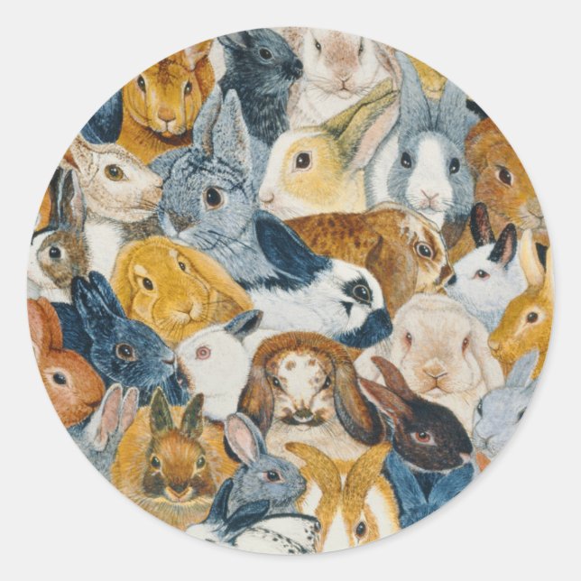 Bright Eyes Classic Round Sticker (Front)
