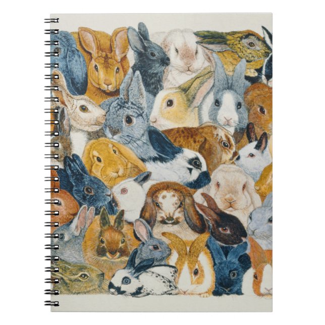 Bright Eyes Notebook (Front)