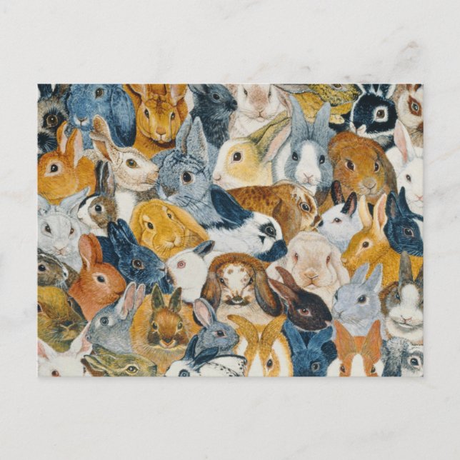 Bright Eyes Postcard (Front)