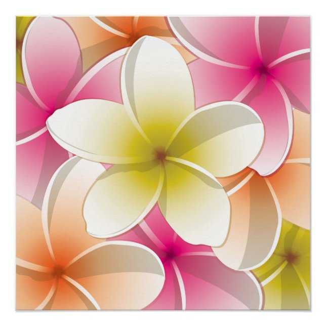 Bright Frangipani/ Plumeria flowers Poster (Front)