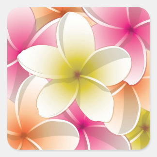 Bright Frangipani/ Plumeria flowers Square Sticker