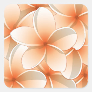 Bright Frangipani/ Plumeria flowers Square Sticker