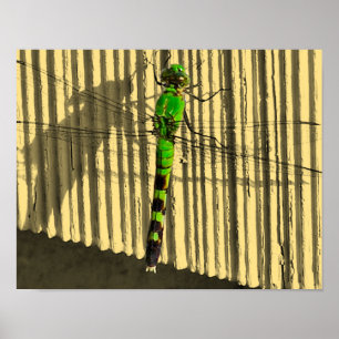 Bright Green Dragonfly Partial Colour Poster