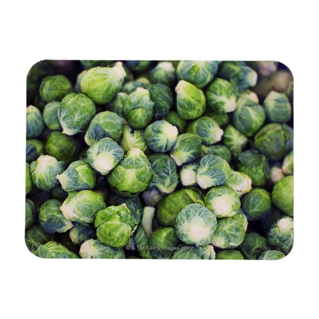 Bright Green Fresh Brussels Sprouts Magnet (Horizontal)
