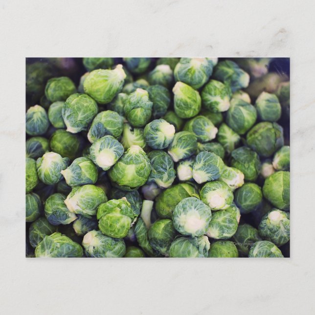 Bright Green Fresh Brussels Sprouts Postcard (Front)