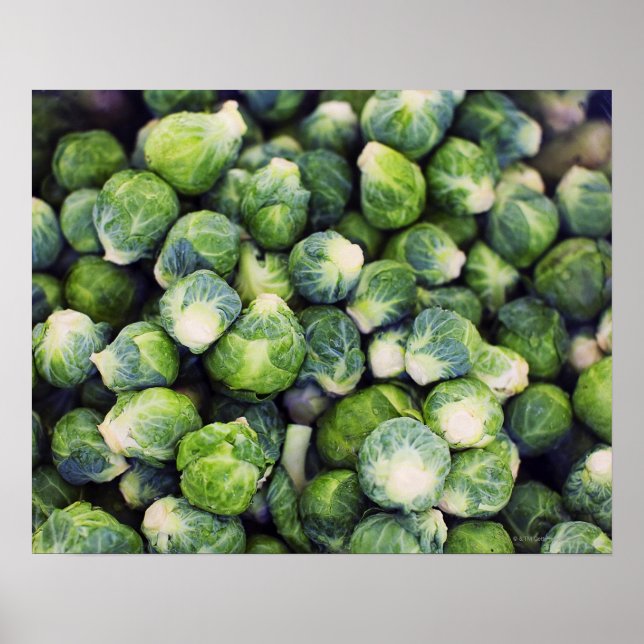 Bright Green Fresh Brussels Sprouts Poster (Front)