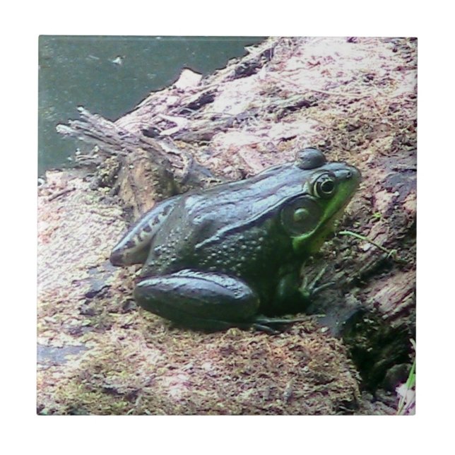 Bright Green Frog Decorative Tile (Front)