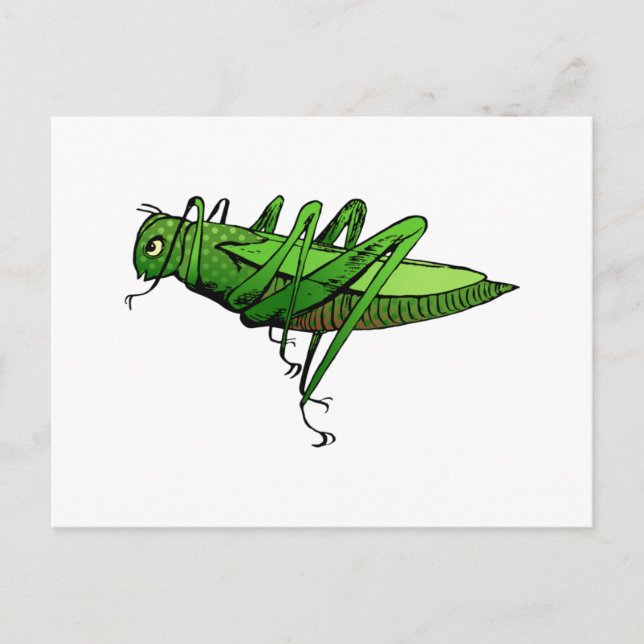 Bright Green Grasshopper Insect Cartoon Postcard (Front)