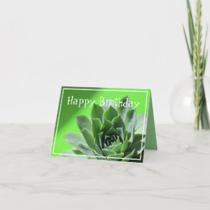 Bright green sempervivum succulent plant card
