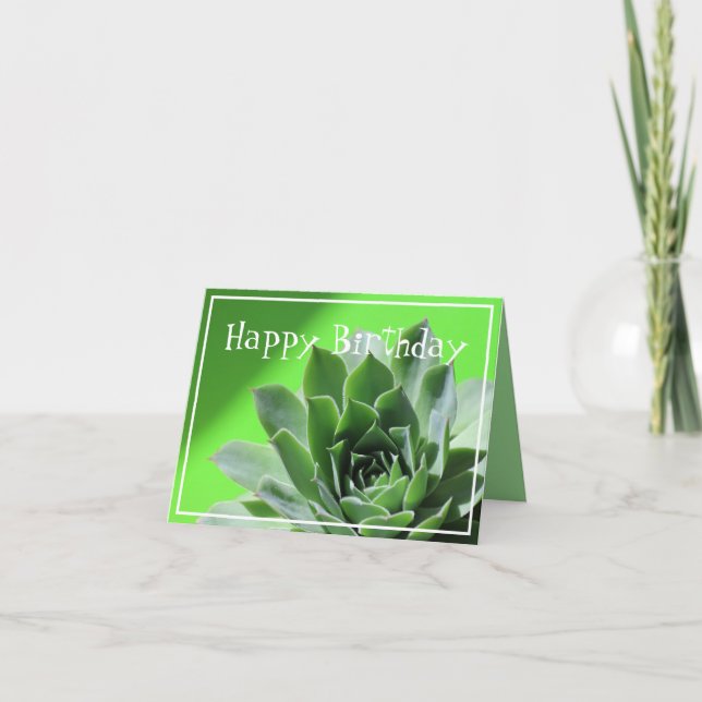 Bright green sempervivum succulent plant card (Front)