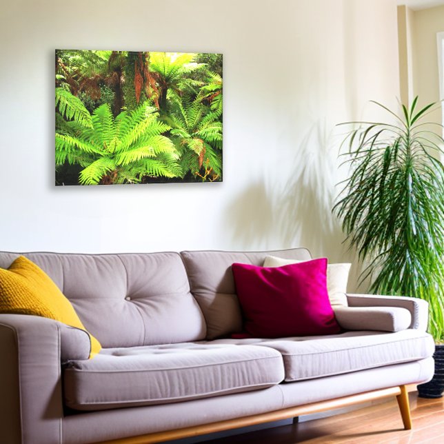 Bright Green Tree Ferns Canvas Print (Creator Uploaded)