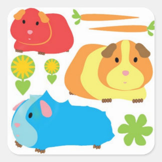 Bright Guinea Pigs Square Sticker