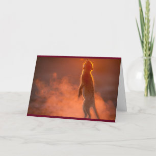 Bright Holidays - Seasons Greetings Card