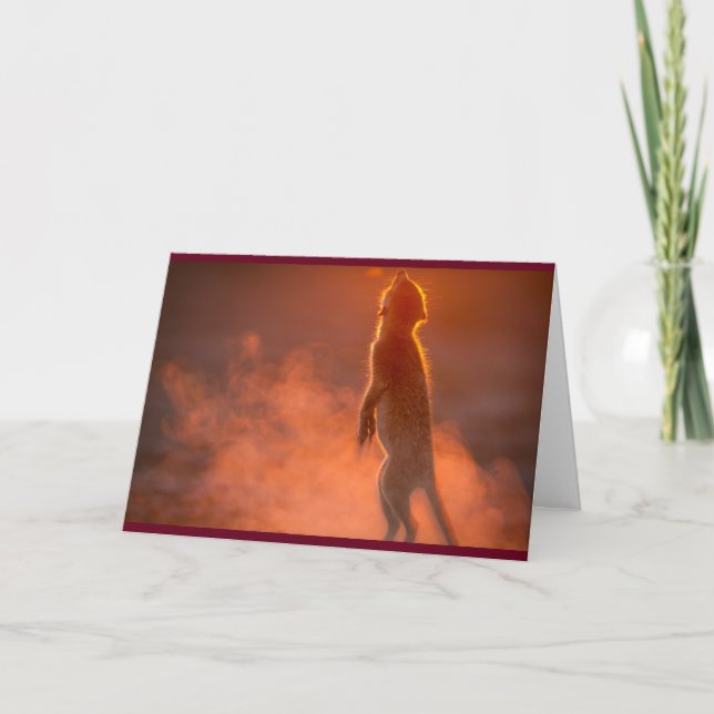Bright Holidays - Seasons Greetings Card (Front)