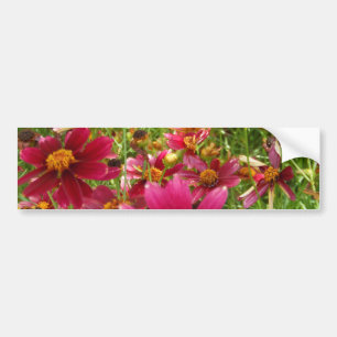 Bright Hot Pink and Yellow Daisy flowers Bumper Sticker