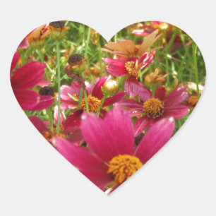 Bright Hot Pink and Yellow Daisy flowers Heart Sticker