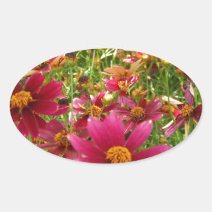 Bright Hot Pink and Yellow Daisy flowers Oval Sticker