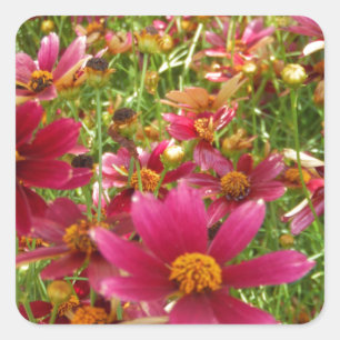 Bright Hot Pink and Yellow Daisy flowers Square Sticker