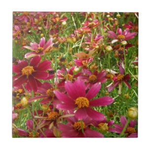 Bright Hot Pink and Yellow Daisy flowers Tile