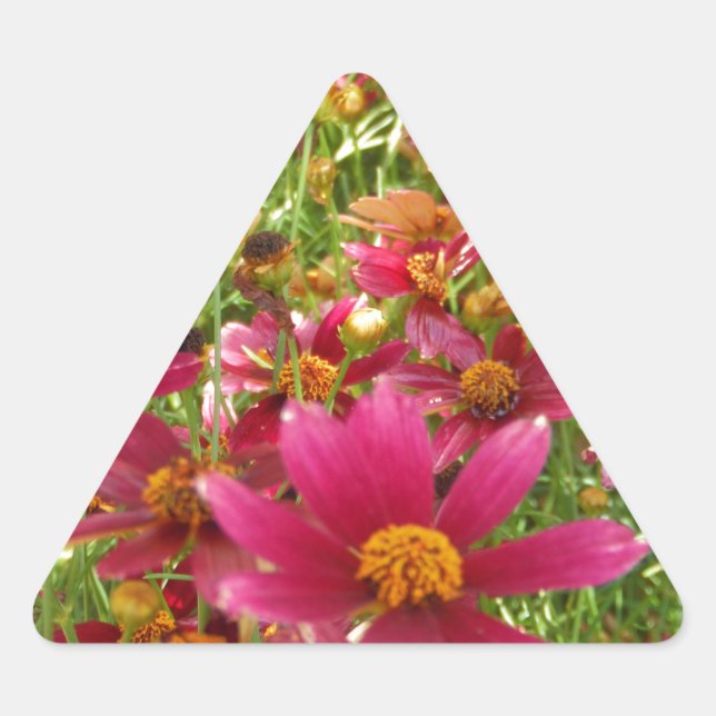 Bright Hot Pink and Yellow Daisy flowers Triangle Sticker (Front)